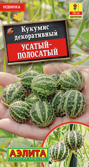 Кукумис декоративный «Усатый-полосатый»