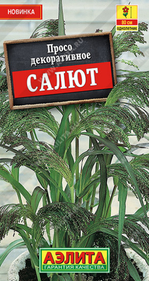 Семена. Просо декоративное «Салют»