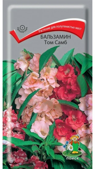 Бальзамин «Том Самб»