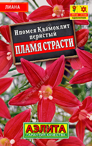 Ипомея «Квамоклит Пламя страсти»