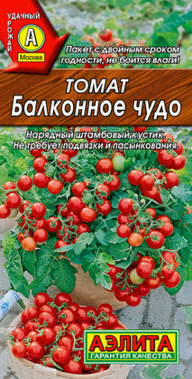 Томат «Балконное чудо»