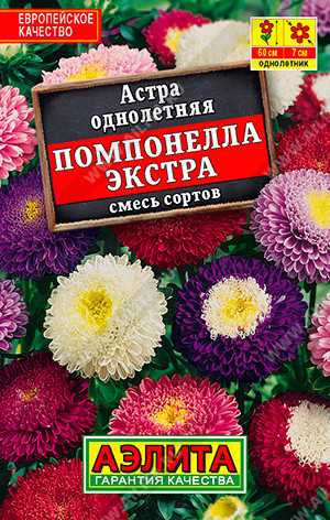 Астра «Помпонелла Экстра»
