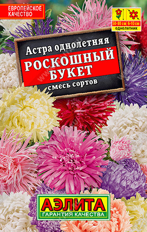 Астра «Роскошный букет»