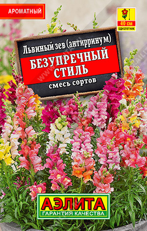 Львиный зев «Безупречный стиль»