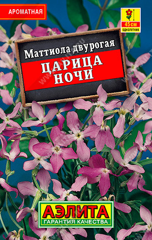 Маттиола двурогая «Царица ночи»