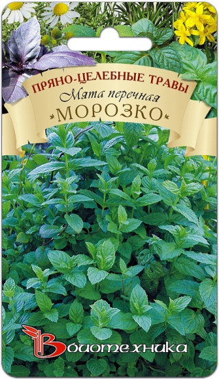 Мята перечная «Морозко»
