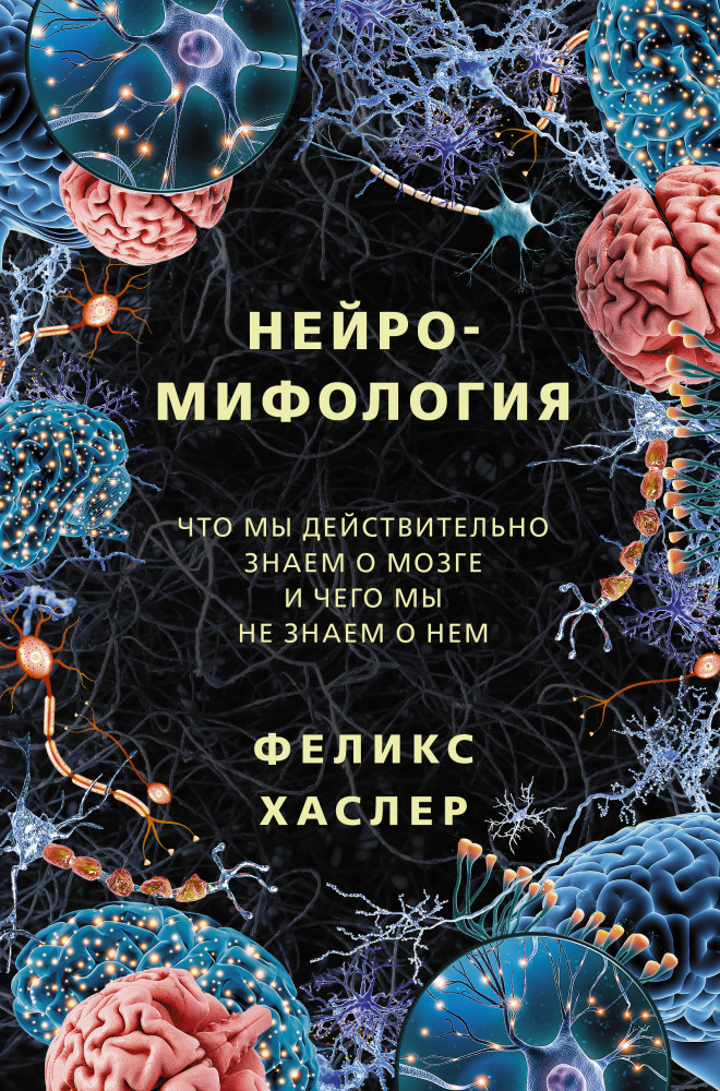 Нейромифология. Что мы действительно знаем о мозге и чего мы не знаем о нем | Интересный научпоп. Хиты Amazon