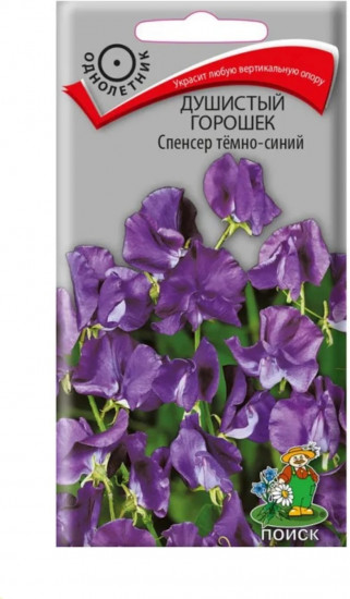 Горошек душистый «Спенсер темно-синий»