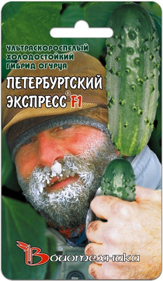 Огурец «Петербургский экспресс F1»