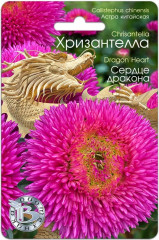 Астра «Хризантелла Сердце дракона»