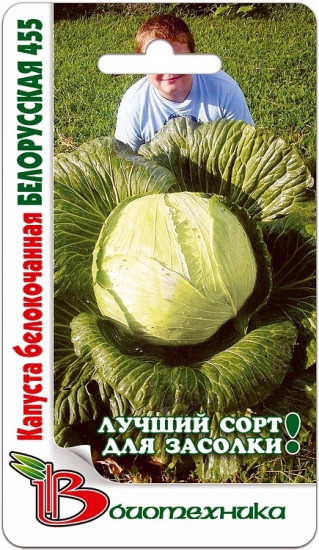 Капуста белокочанная «Белорусская 455»