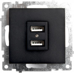 Розетка USB двухместная