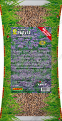Фацелия «Радуга»