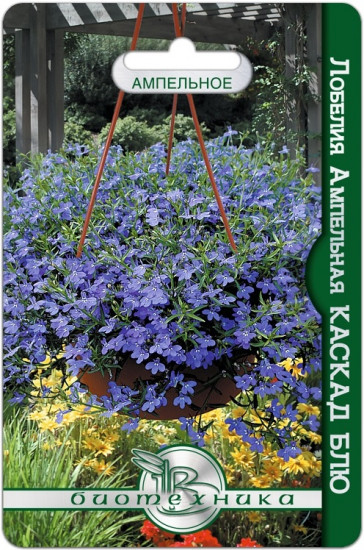 Лобелия ампельная «Каскад Блю»