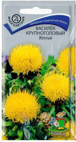 Василек крупноголовый «Желтый»