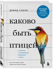 Каково быть птицей