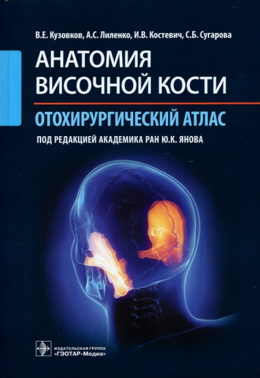 Анатомия височной кости