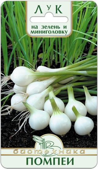 Лук на зелень и мини-головку «Помпеи»