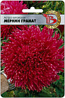 Астра китайская «Мерлин гранат»