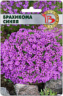 Брахикома «Синяя»