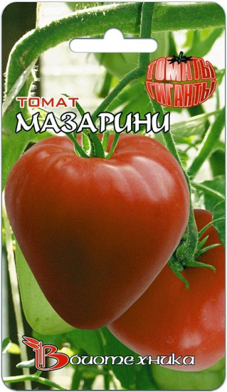 Томат «Мазарини»