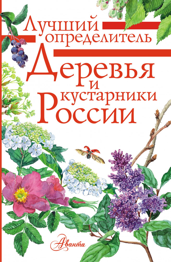 Деревья и кустарники России. Определитель | Лучший определитель