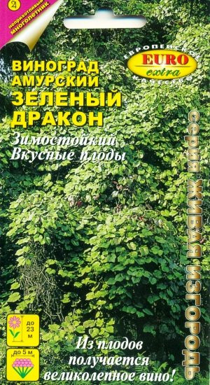 Виноград амурский «Зеленый дракон»