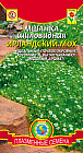 Мшанка шиловидная «Ирландский мох»