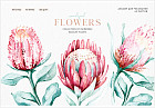 Альбом для рисования «Flowers collection»