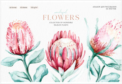 Альбом для рисования «Flowers collection»