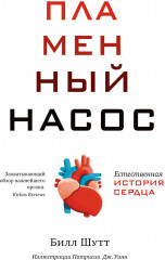 Пламенный насос