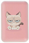 Grumpy Cat