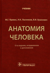 Анатомия человека