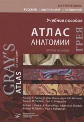 Атлас анатомии Грея