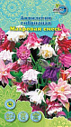Аквилегия «Махровая смесь»
