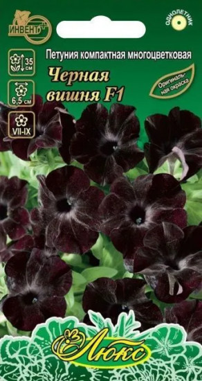 Петуния «Черная Вишня F1»