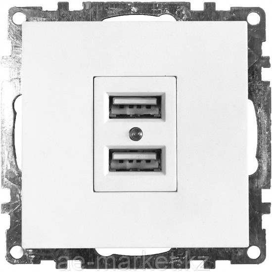 Розетка USB двухместная