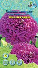 Цинния георгиновидная «Фиолетовая»