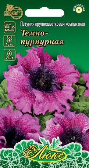 Петуния «Темно-пурпурная»