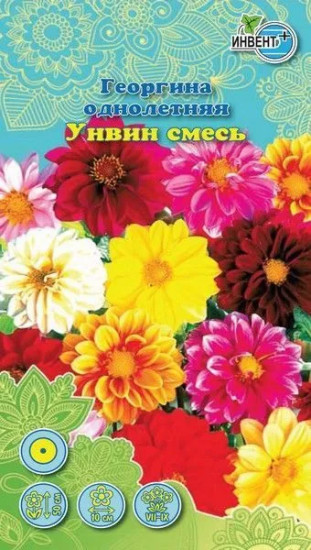 Георгина «Унвин смесь»