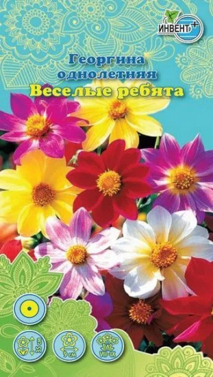 Георгина «Веселые ребята»