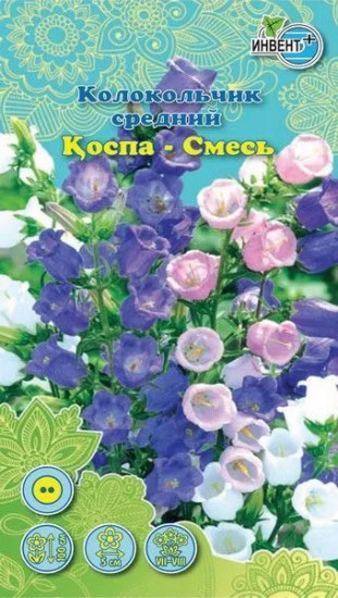 Колокольчик средний «Смесь»