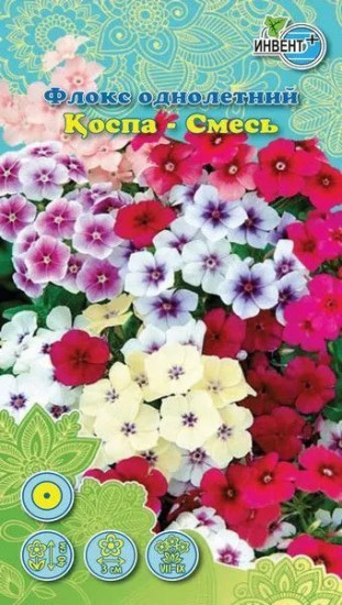 Флокс «Смесь»