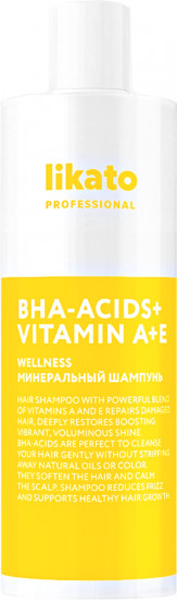 Шампунь минеральный для волос «Wellness»