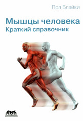 Мышцы человека