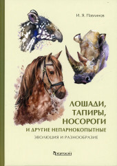 Лошади, тапиры, носороги