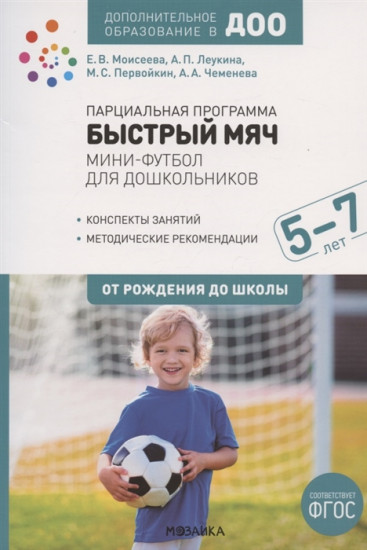 Парциальная программа «Быстрый мяч»