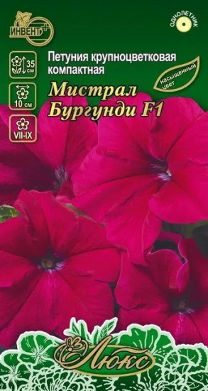 Петуния «Мистрал бургунди F1»