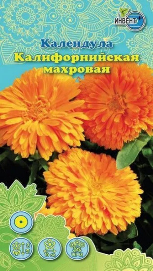 Календула «Калифорнийская махровая»
