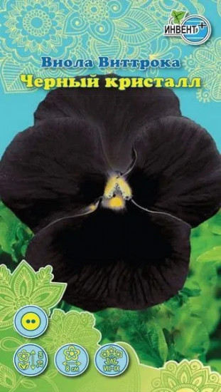 Виола виттрока «Черный Кристалл»